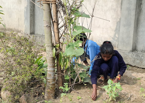 सामुदायिक विद्यालयमा करेसाबारी, दिवाखाजालाई भरथेग