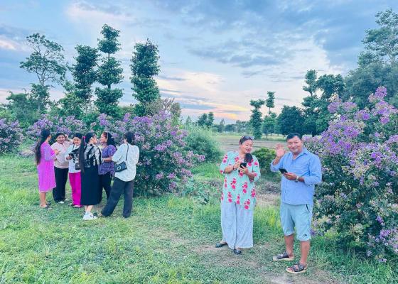 सडक किनारैभरि ‘असारे फूल’ फुल्दा उर्लाबारीको रूप फेरियो