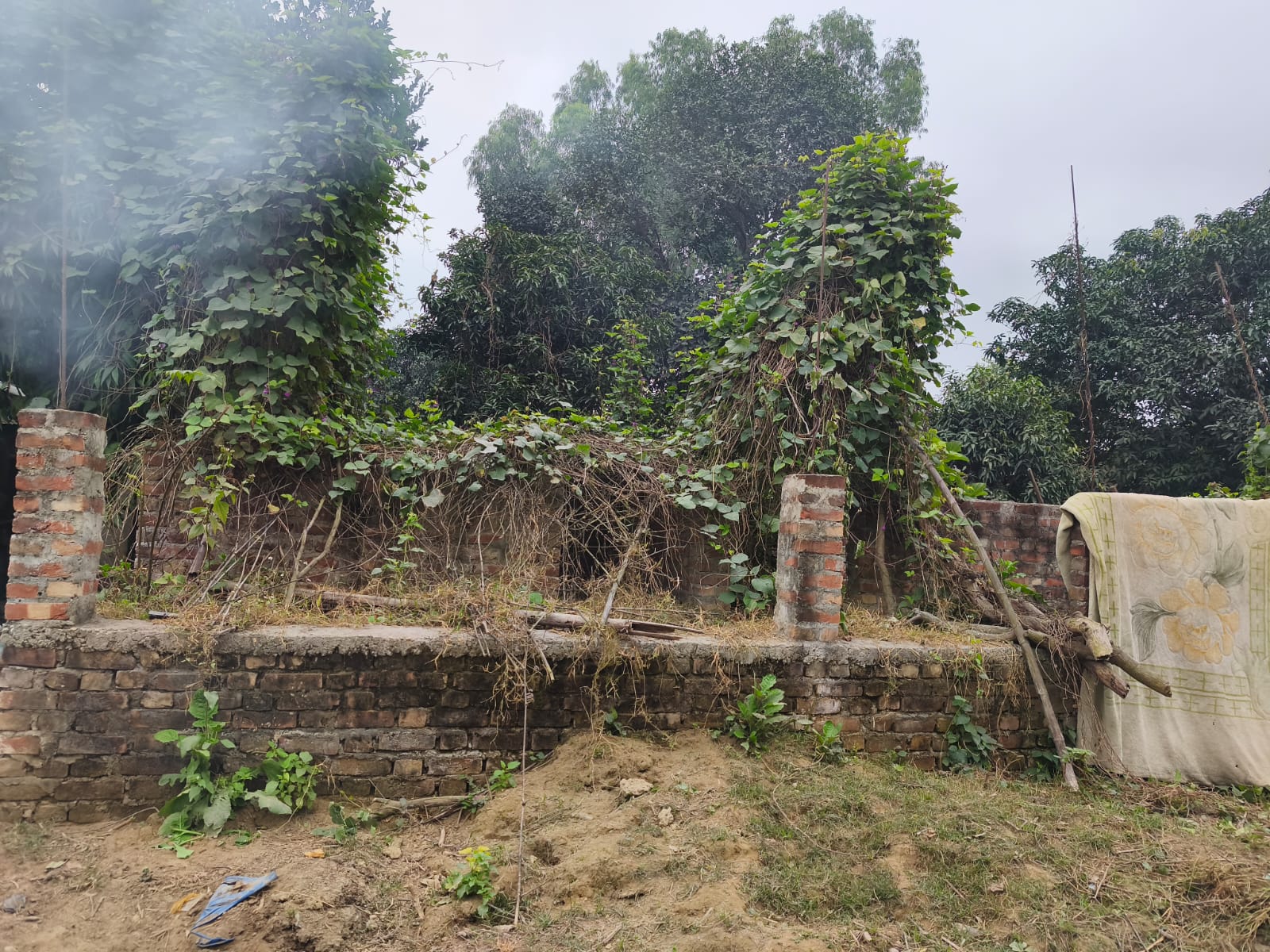 1fc3acfe-2e11-4891-8e94-43b2ee6f8548