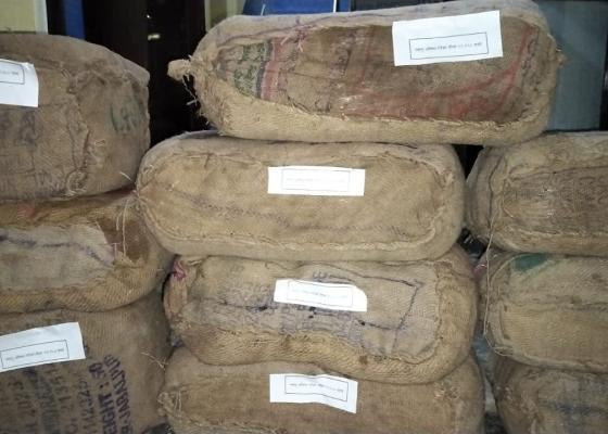 कर्जन्हाबाट लुकाई राखेको अवस्थामा क्विन्टल बढी गाँजा बरामद कर्जन्हाबाट लुकाई राखेको अवस्थामा क्विन्टल बढी गाँजा बरामद