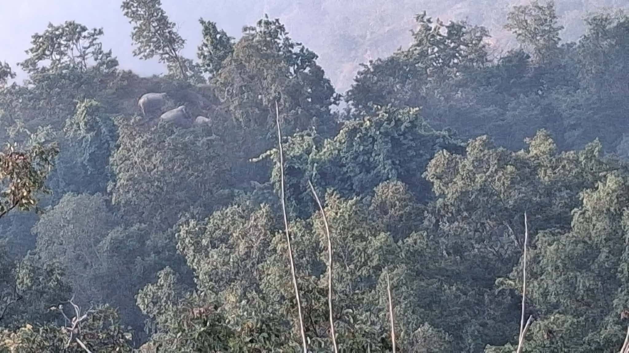 607942258_1189542813301667_5638885393185493634_n