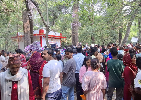 सिराहाको सलहेश फूलबारीमा सुनाखरी फूल हेर्नेको मेला सिराहाको सलहेश फूलबारीमा सुनाखरी फूल हेर्नेको मेला