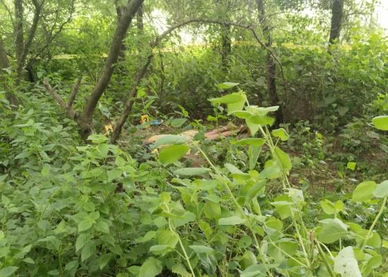 सिरहाको गोलबजारस्थित गागनखोला किनारमा एक वृद्धाको शव भेटीयो