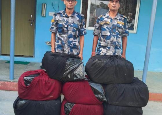 सिरहा सशस्त्र प्रहरीद्वारा डेढ क्विन्टलभन्दाबढी प्रतिवन्धित गाँजा बरामद 