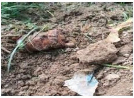 सिरहाको बरियारटीमा भेटिएको सकेट बम नेपाली सेनाले डिसपोज गरे 