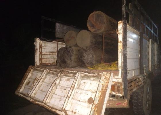 रातको समयमा लालबकैया खोलाबाट काठ तस्करीको प्रयास, २७ क्युबिक फिट साल बरामद