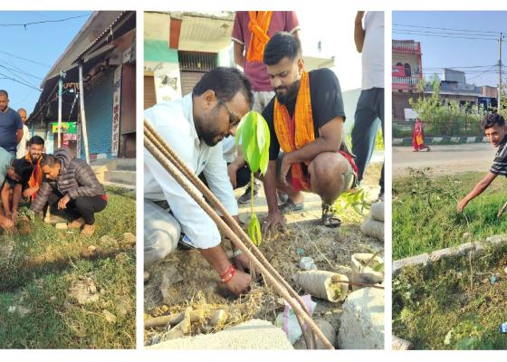  युवाहरूको सक्रियतामा सिरहा नगरपालिकालाई हरियाली र सुन्दर बनाउने अभियान सुरु
